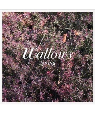 Wallows Spring EP (Pink & Green) Vinyl Record $11.31 Vinyl