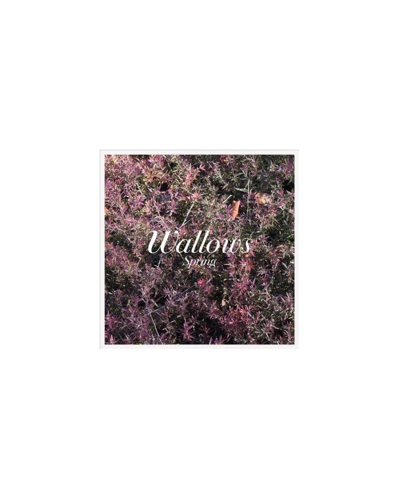 Wallows Spring EP (Pink & Green) Vinyl Record $11.31 Vinyl