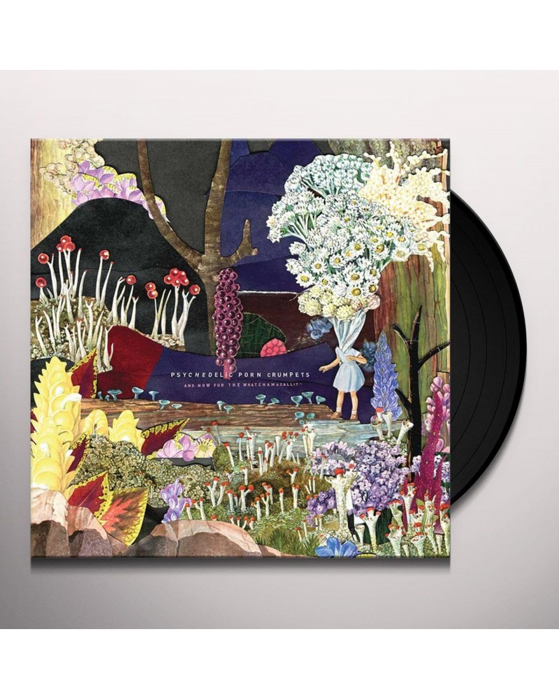 Psychedelic Porn Crumpets And Now For The Whatchamacallit Vinyl Record $8.89 Vinyl