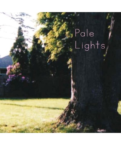 Pale Lights You And I Vinyl Record $2.67 Vinyl