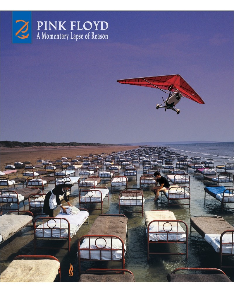 Pink Floyd A Momentary Lapse Of Reason (Remixed/Updated 2019) Cd/Dvd CD $17.20 CD